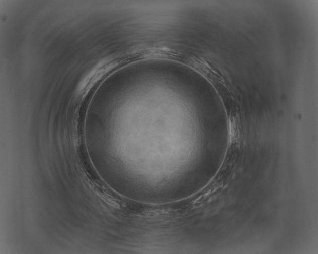 X0000074300291200608251217