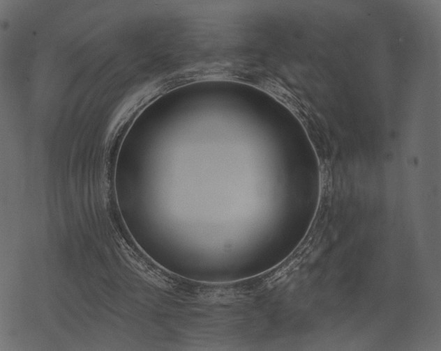 X0000074300293200608251217