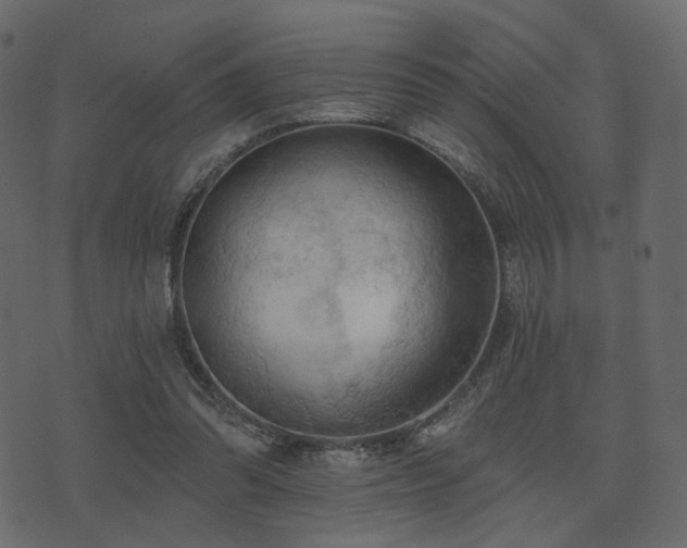 X0000074300302200608251217