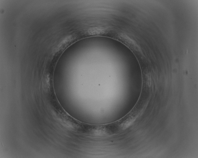 X0000074300308200608251217