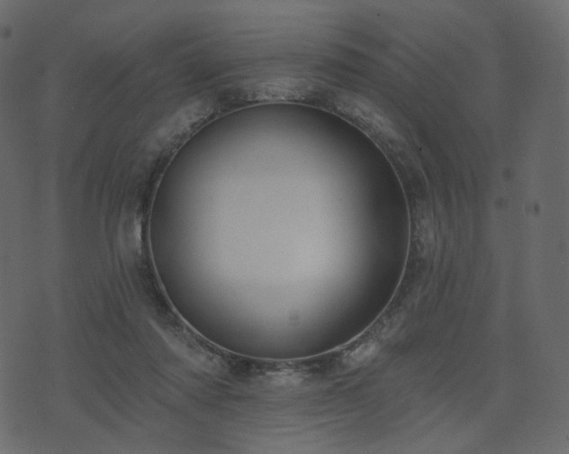 X0000074300310200608251217