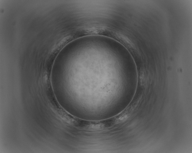 X0000074300314200608251217