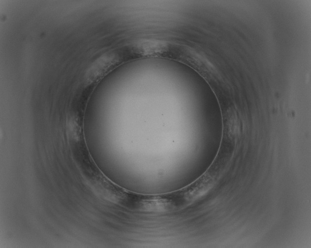 X0000074300316200608251217
