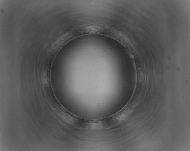 X0000074300317200608251217