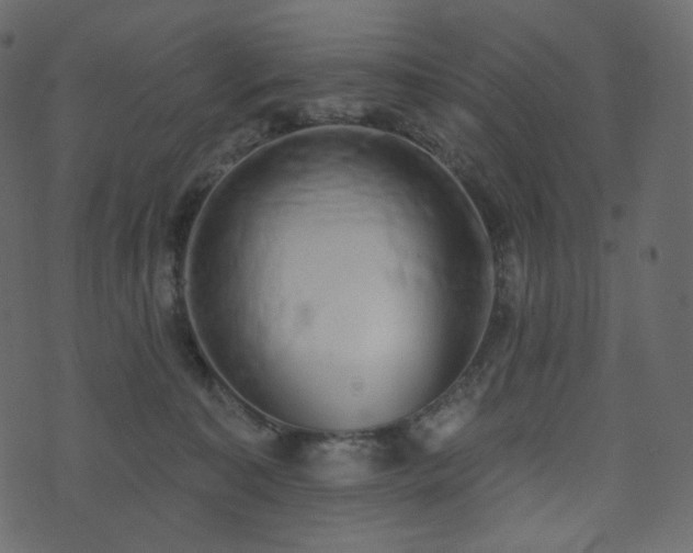 X0000074300323200608251217