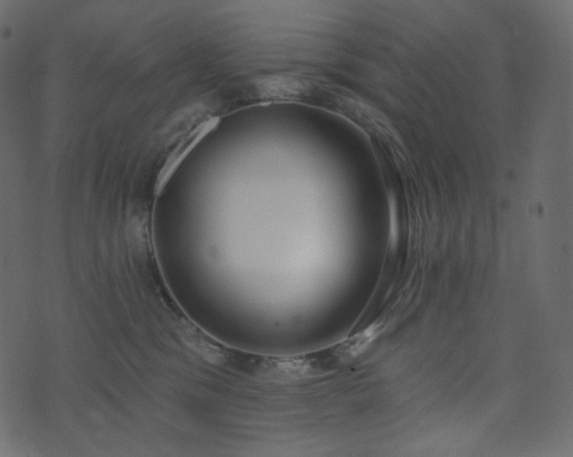 X0000074300329200608251217