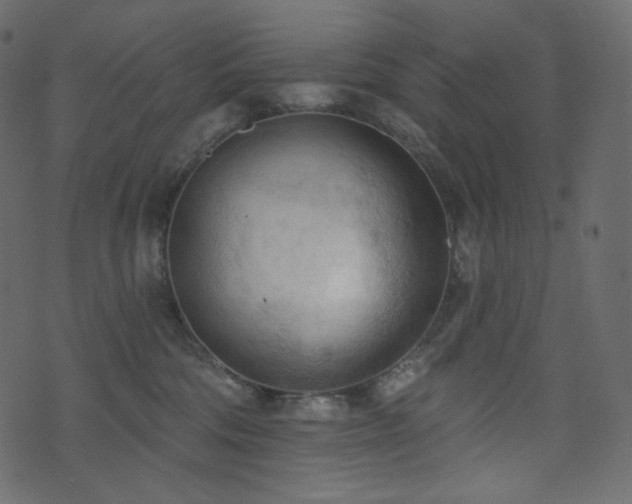X0000074300330200608251217