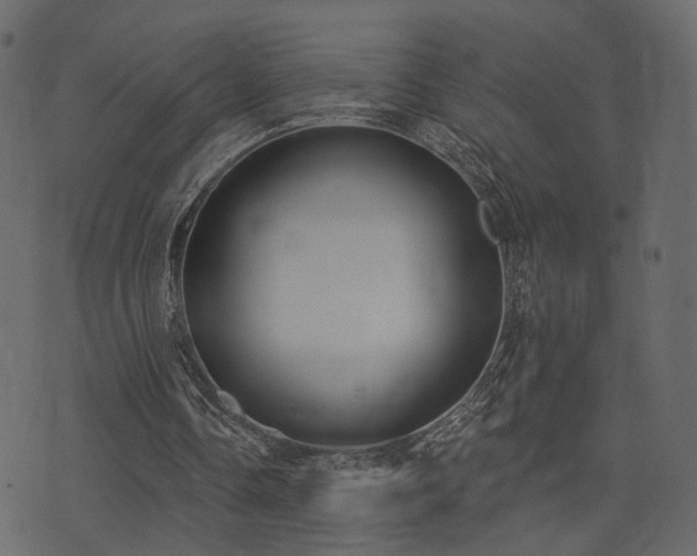 X0000074300338200608251216