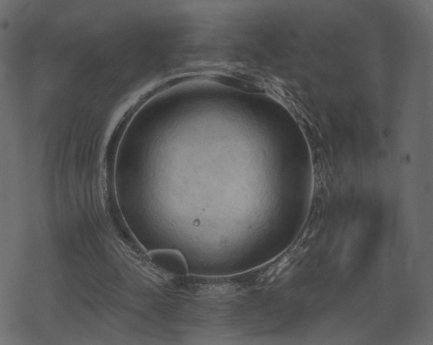 X0000074300342200608251216