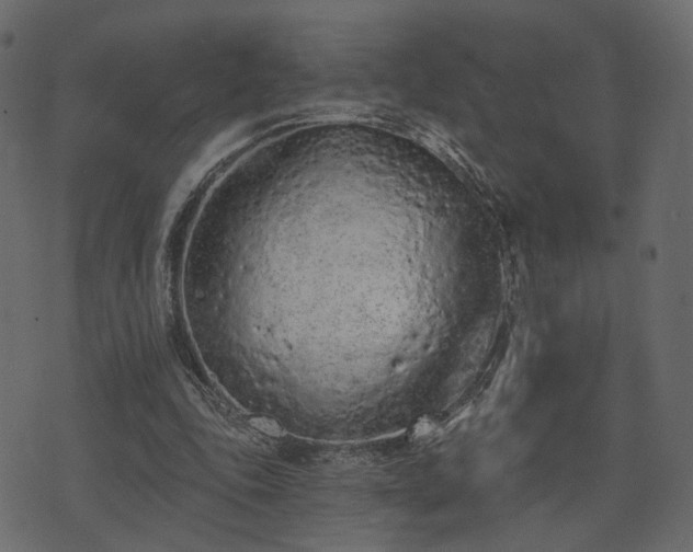 X0000074300343200608251216