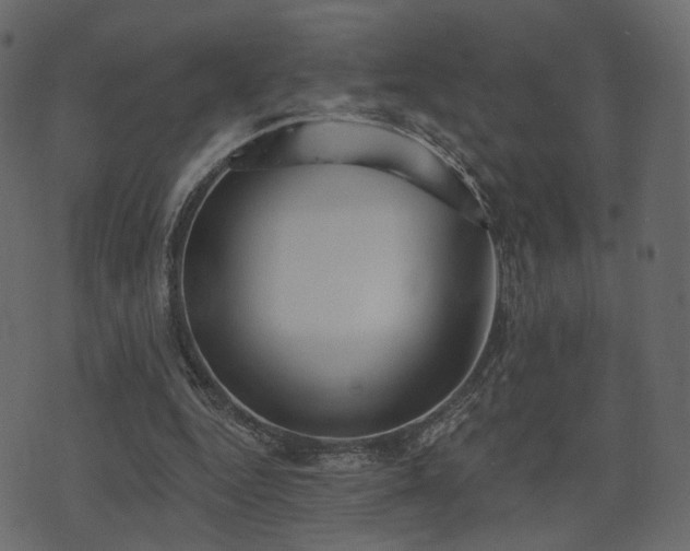 X0000074300344200608251216