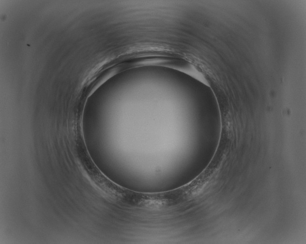 X0000074300352200608251216