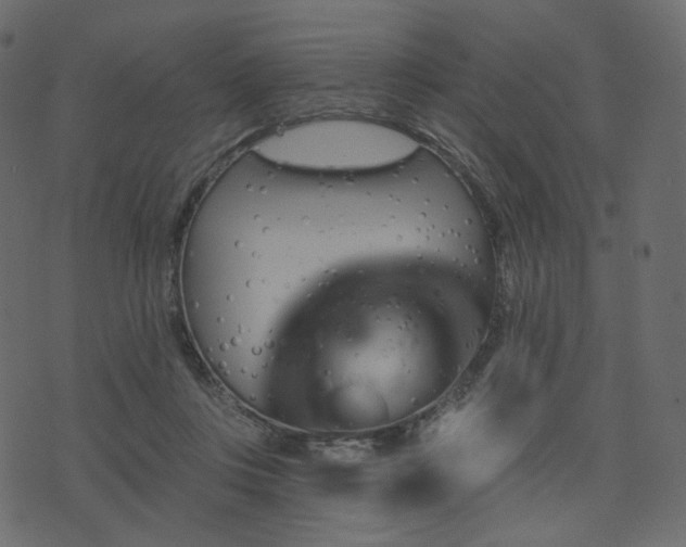 X0000074300359200608251216
