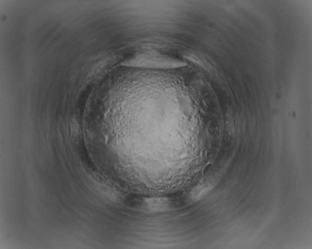 X0000074300371200608251216