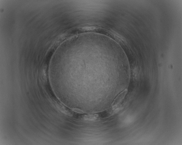 X0000074300373200608251216
