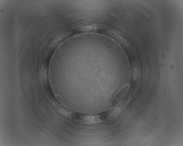 X0000074300375200608251216