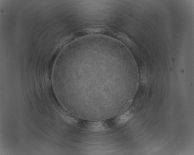 X0000074300377200608251216
