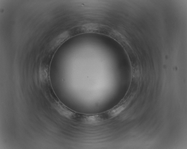 X0000074300382200608251216