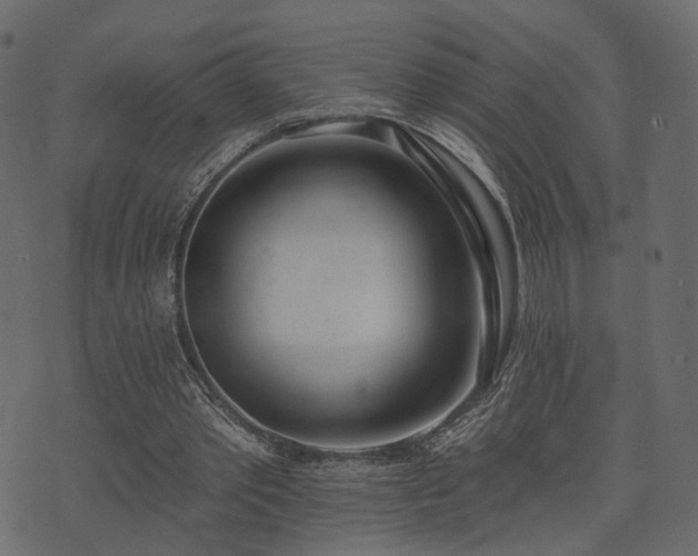 X0000074300389200608251216