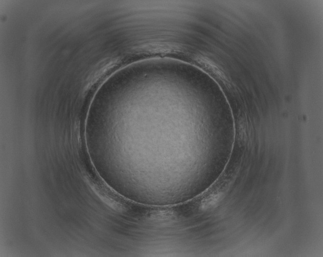 X0000074300398200608251215
