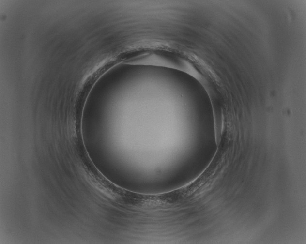 X0000074300399200608251215