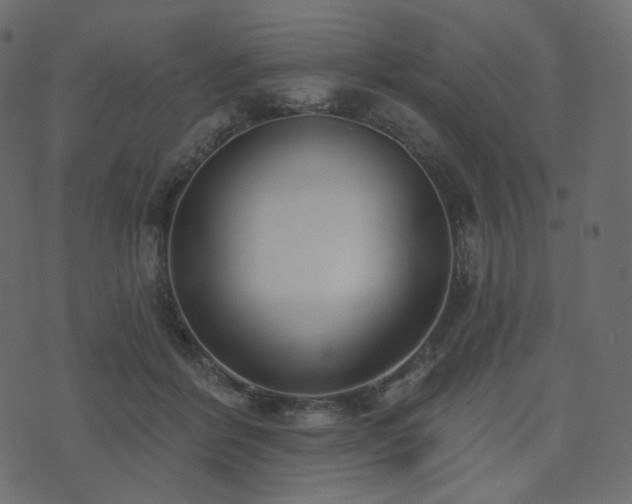 X0000074300412200608251215