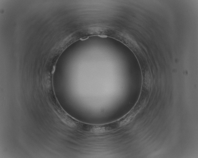 X0000074300413200608251215