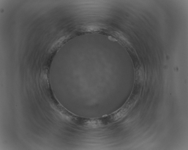 X0000074300415200608251215