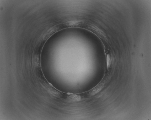 X0000074300421200608251215