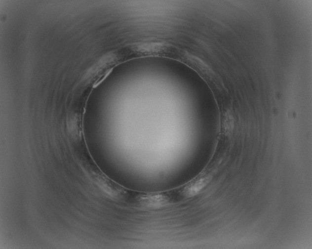 X0000074300428200608251215
