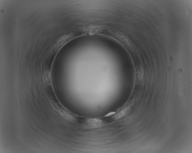 X0000074300429200608251215