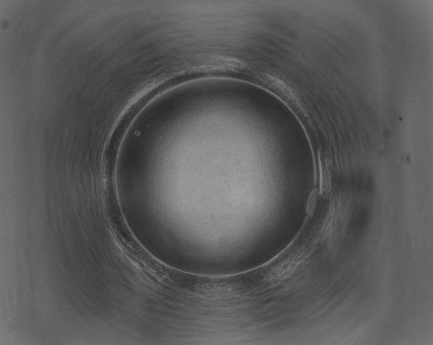 X0000074300435200608251214