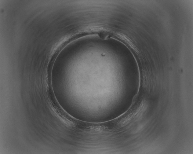 X0000074300439200608251214