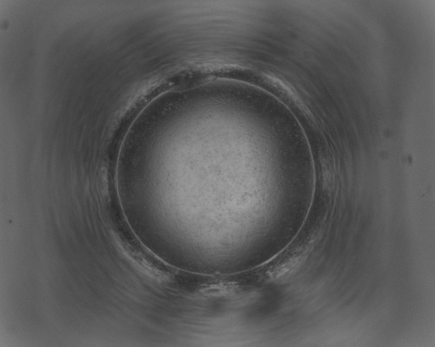 X0000074300447200608251214