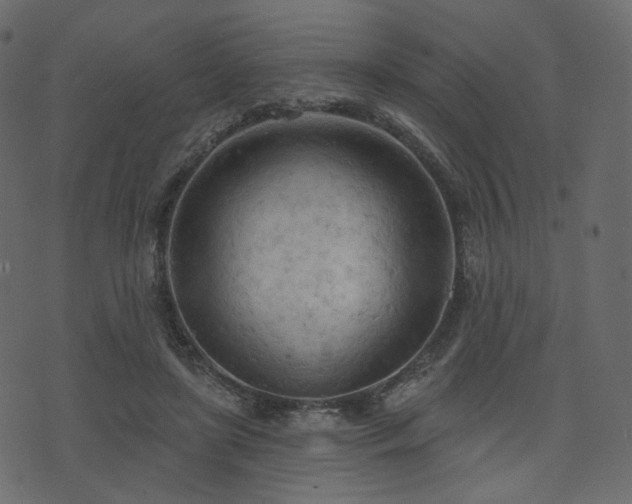 X0000074300451200608251214