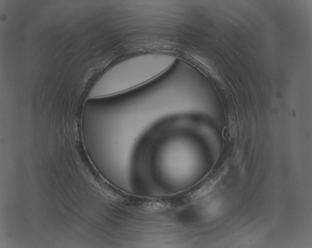 X0000074300453200608251214