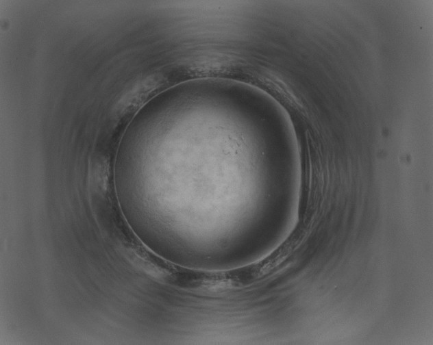 X0000074300458200608251215