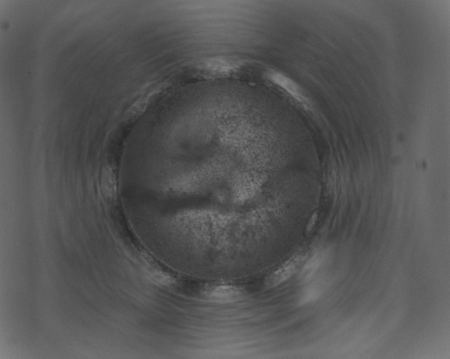 X0000074300467200608251215