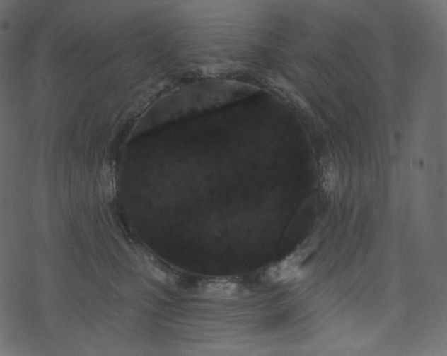 X0000074300471200608251215