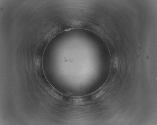 X0000074300472200608251215