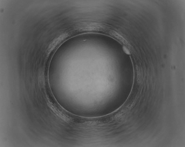 X0000074300482200608251214