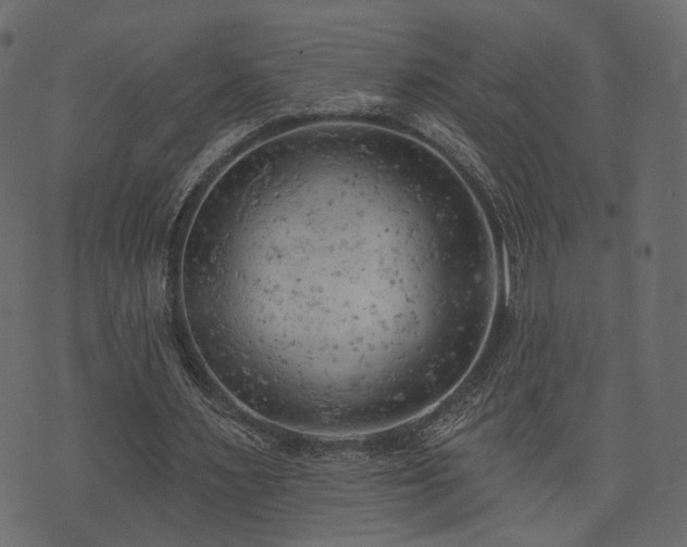 X0000074300483200608251214