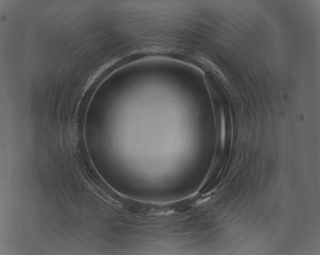 X0000074300484200608251214