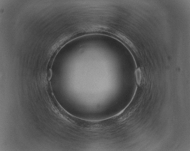 X0000074300485200608251214
