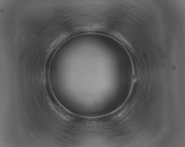 X0000074300486200608251214