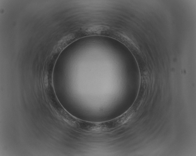 X0000074300504200608251214