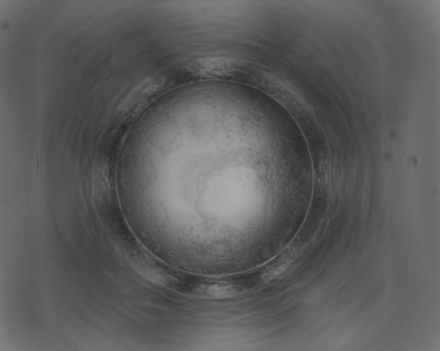 X0000074300506200608251214