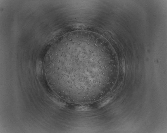 X0000074300511200608251214