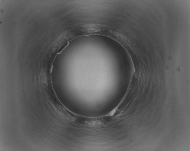 X0000074300512200608251214