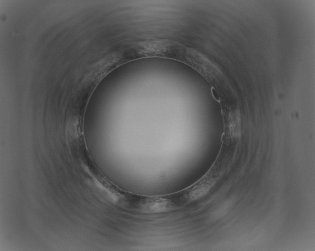 X0000074300514200608251214